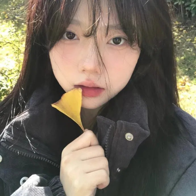 同途她是他