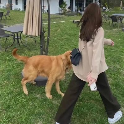 爱我别走